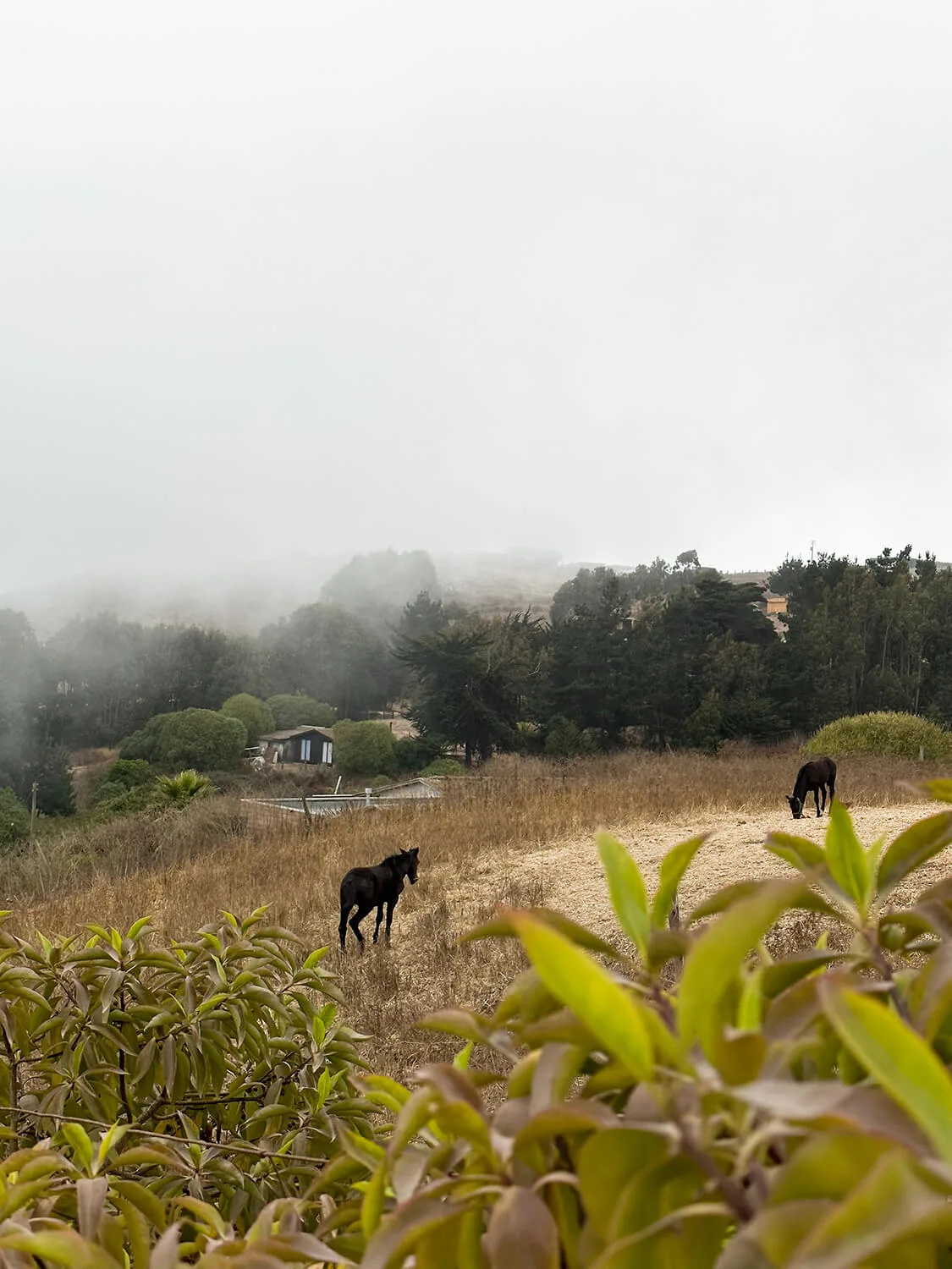 Foto original, sem preset